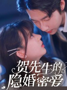 贺先生的隐婚蜜爱