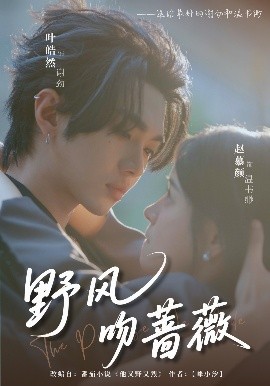 野风吻蔷薇